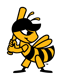 SaltLakeBees