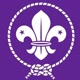 scout_es