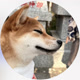 Shibasoa