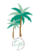 TallPalms