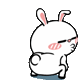 TerpBunny