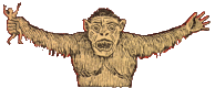 Tsungel