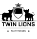 TwinLionsMattresses