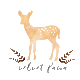 Velvetfawn