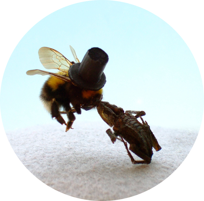 Giphy profile picture for @ampule