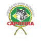 annarborcapoeira