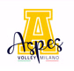 aspesvolley