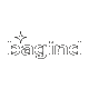 bagind_cz