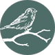 baumspatz