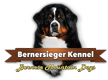 bernersiegerkennel