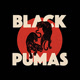 Black Pumas Avatar