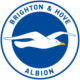 Brighton & Hove Albion Football Club Avatar