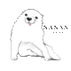 c_nanan