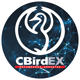 cbirdex