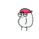 chamanchomuofficial