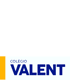 colegiovalent