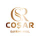 cosargayrimenkul