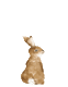 dekornik