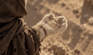desertcatadventures