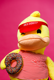 duck_donuts
