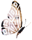 edupam_mexico