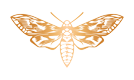 goldenmothpl