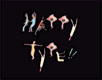 happytype