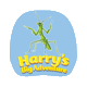 harrysbigadventure