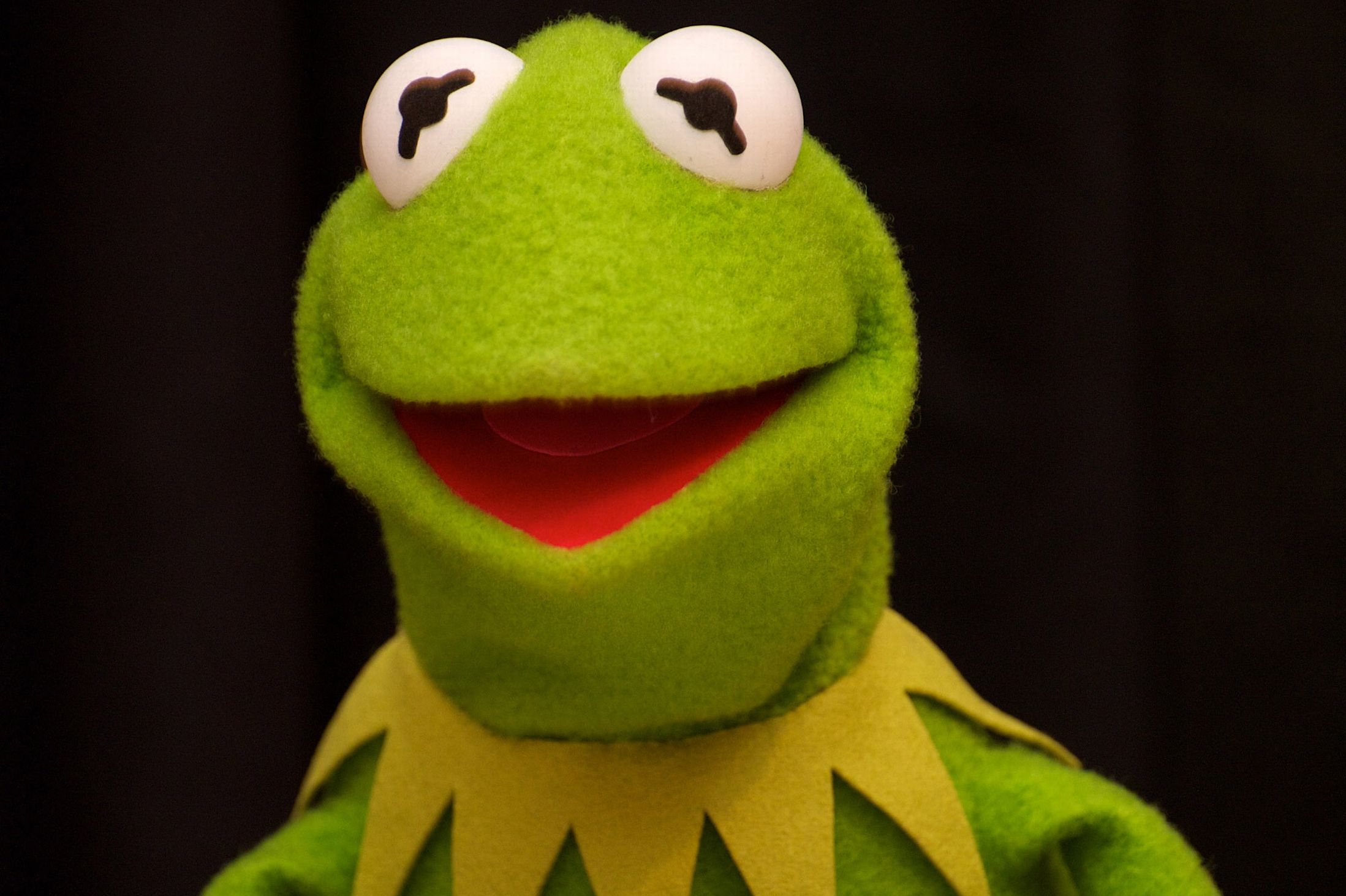 Giphy profile picture for @hudson