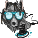 idetailmiami