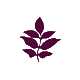 WishGarden