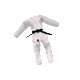 judobuddy