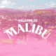 Malibu Rum Avatar