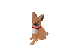 maltetheharzerfox