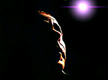 mohamedashourmossa