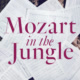 Mozart In The Jungle Avatar