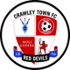 Crawley Town FC Avatar