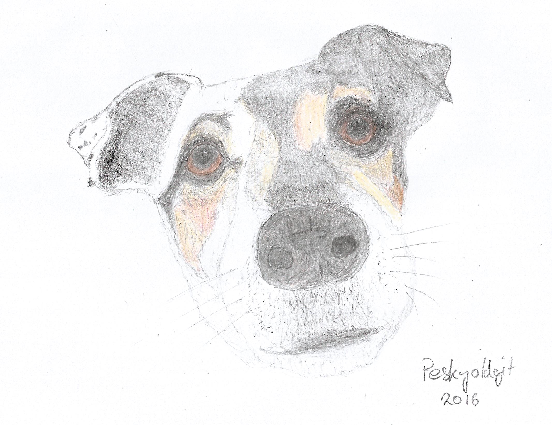 Giphy profile picture for @pesky