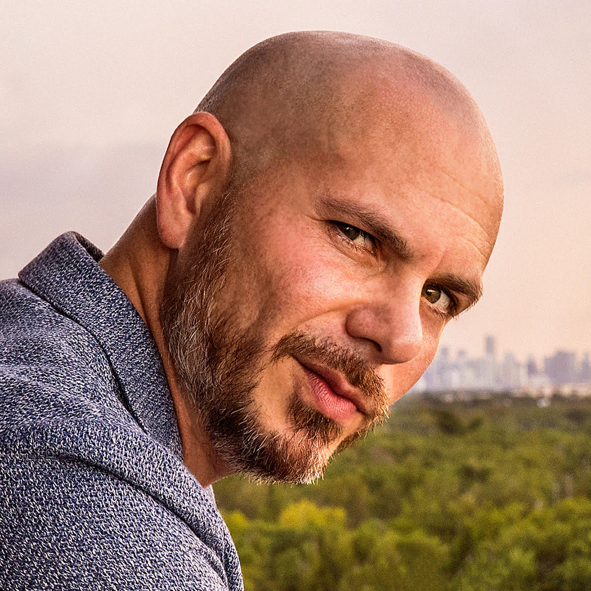 Giphy profile picture for @pitbull