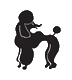 poodlefitzroy