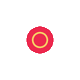 radiorottu