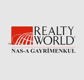realtyworldnasagayrimenkul