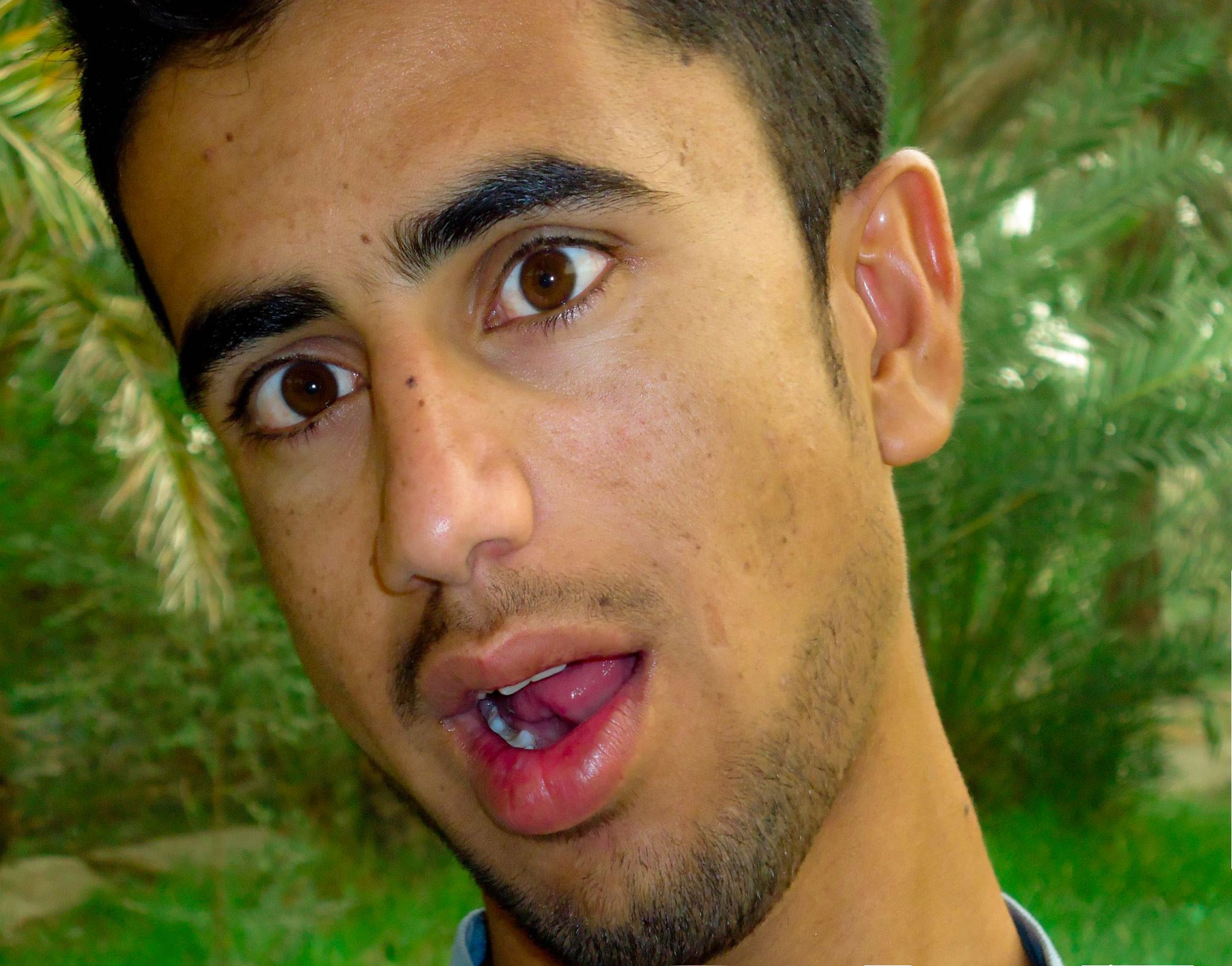 Giphy profile picture for @salman