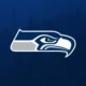 Seattle Seahawks Avatar