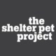 Shelter Pet Project Avatar