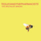 Ted Leo and the Pharmacists Avatar
