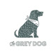 thegreydog