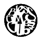 tvisionzone