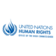 United Nations Human Rights Avatar