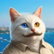 vankedisicoin